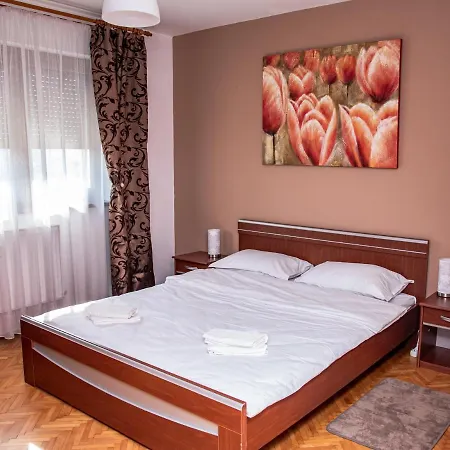 Bucium Apartment *
